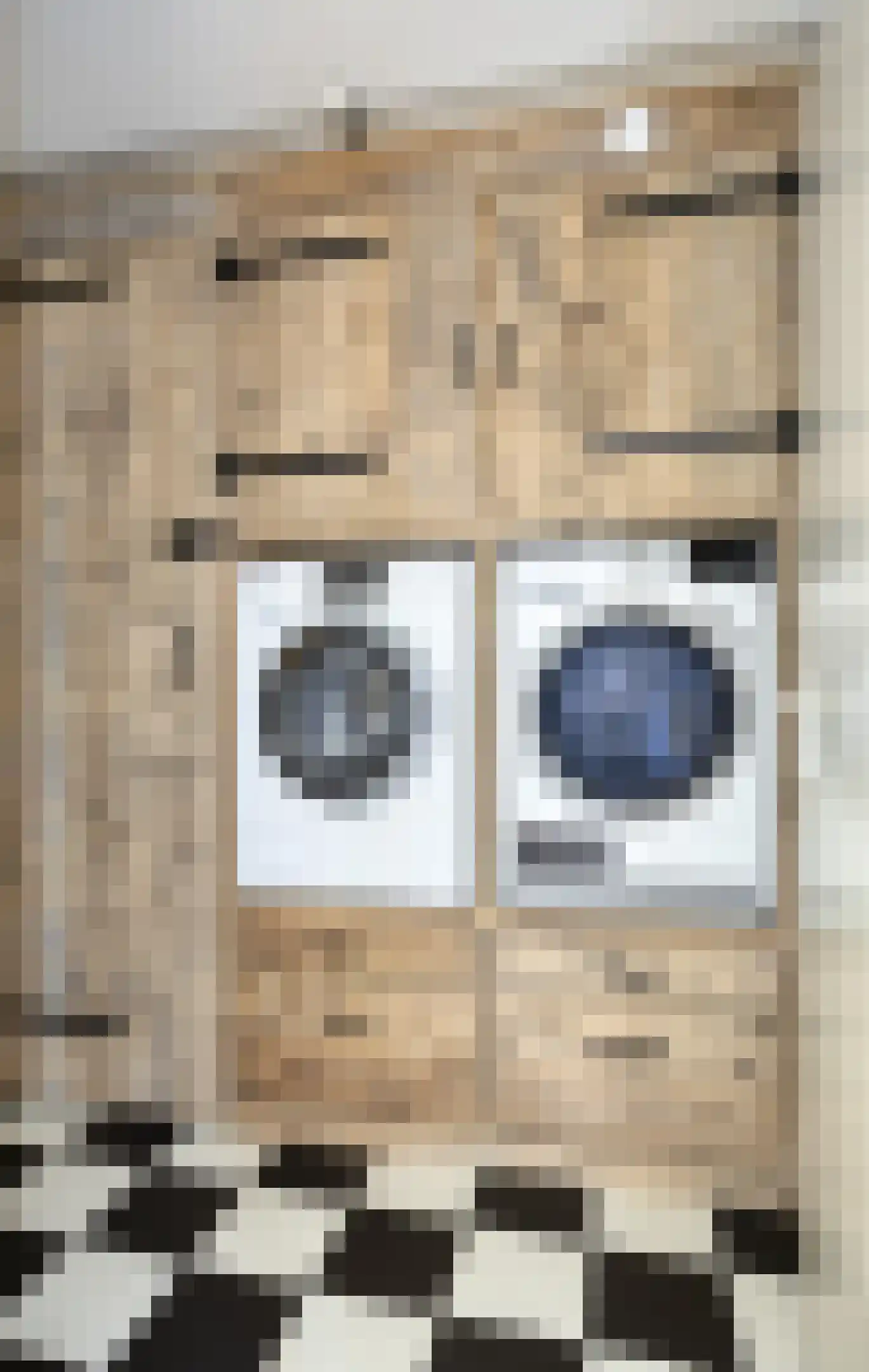Het Fluitketeltje 14 Gorinchem thumbnail 21
