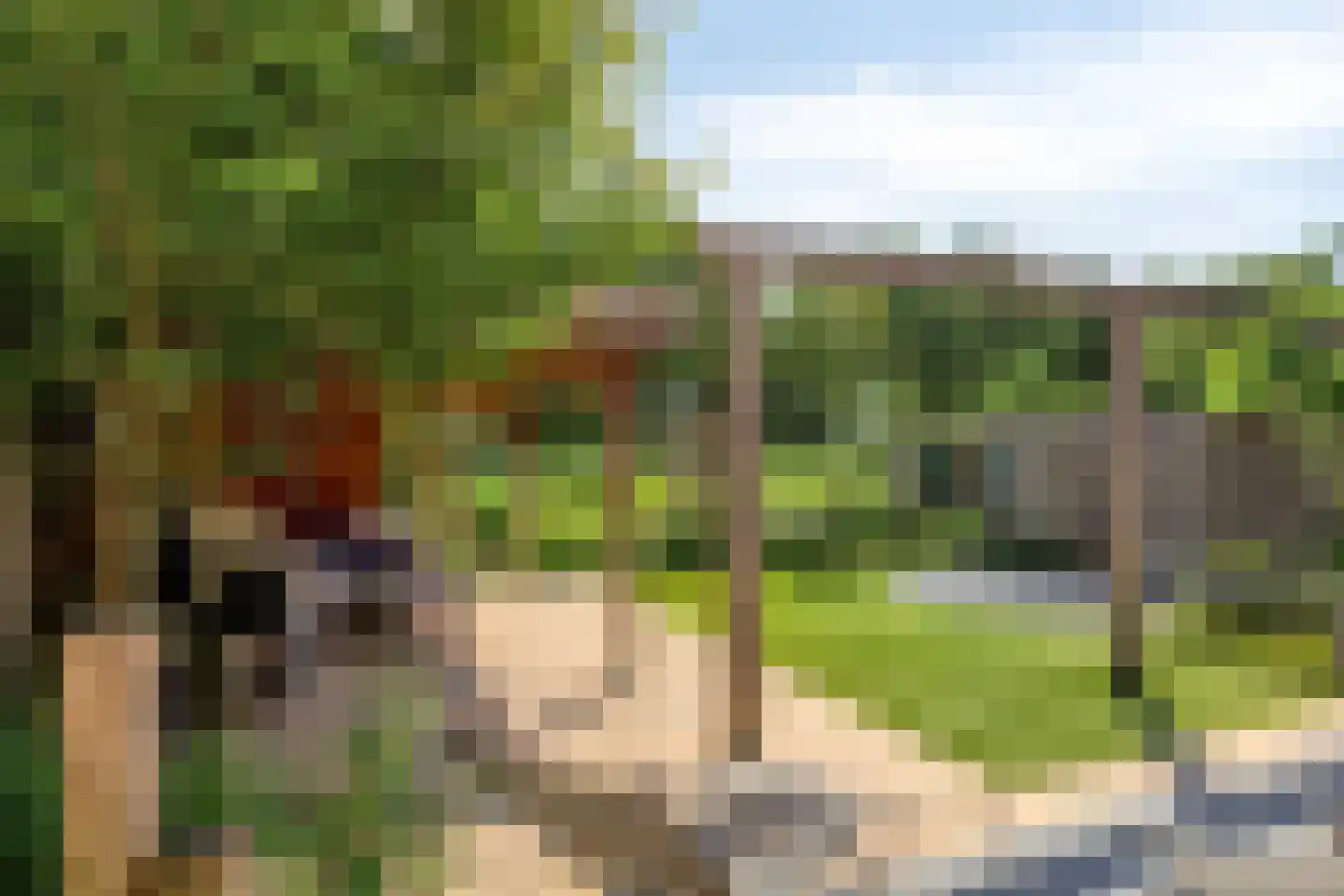 Het Fluitketeltje 14 Gorinchem thumbnail 26