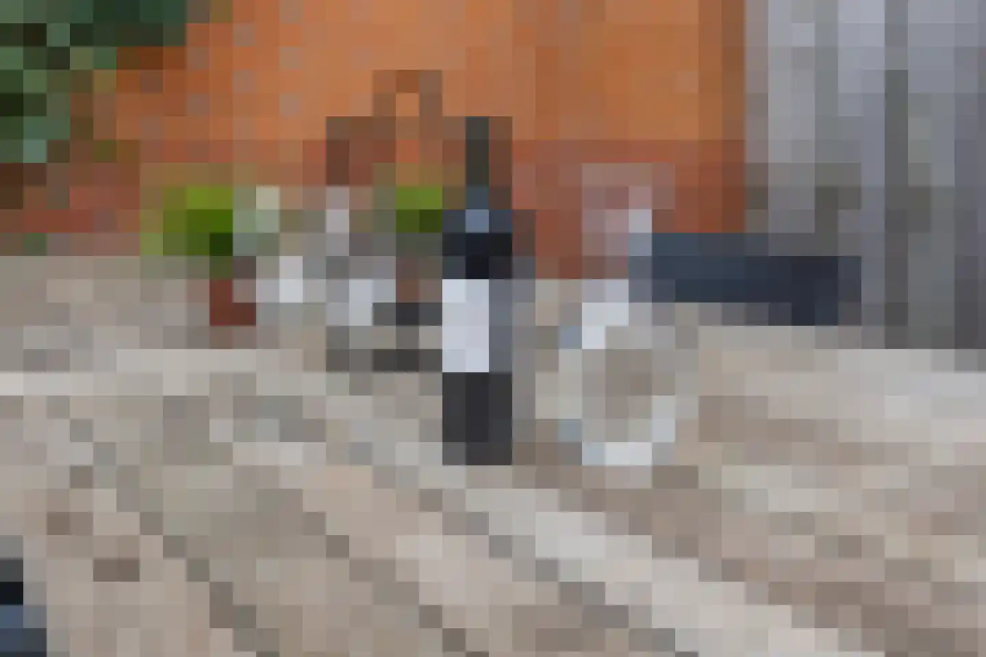 Het Fluitketeltje 27 Gorinchem thumbnail 10
