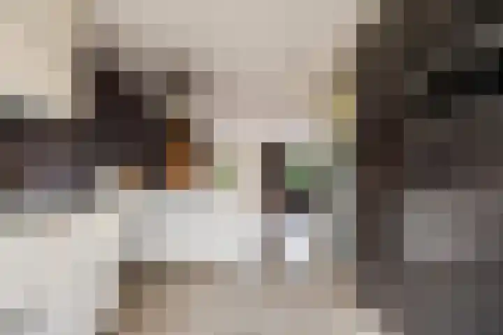 Het Fluitketeltje 27 Gorinchem thumbnail 13