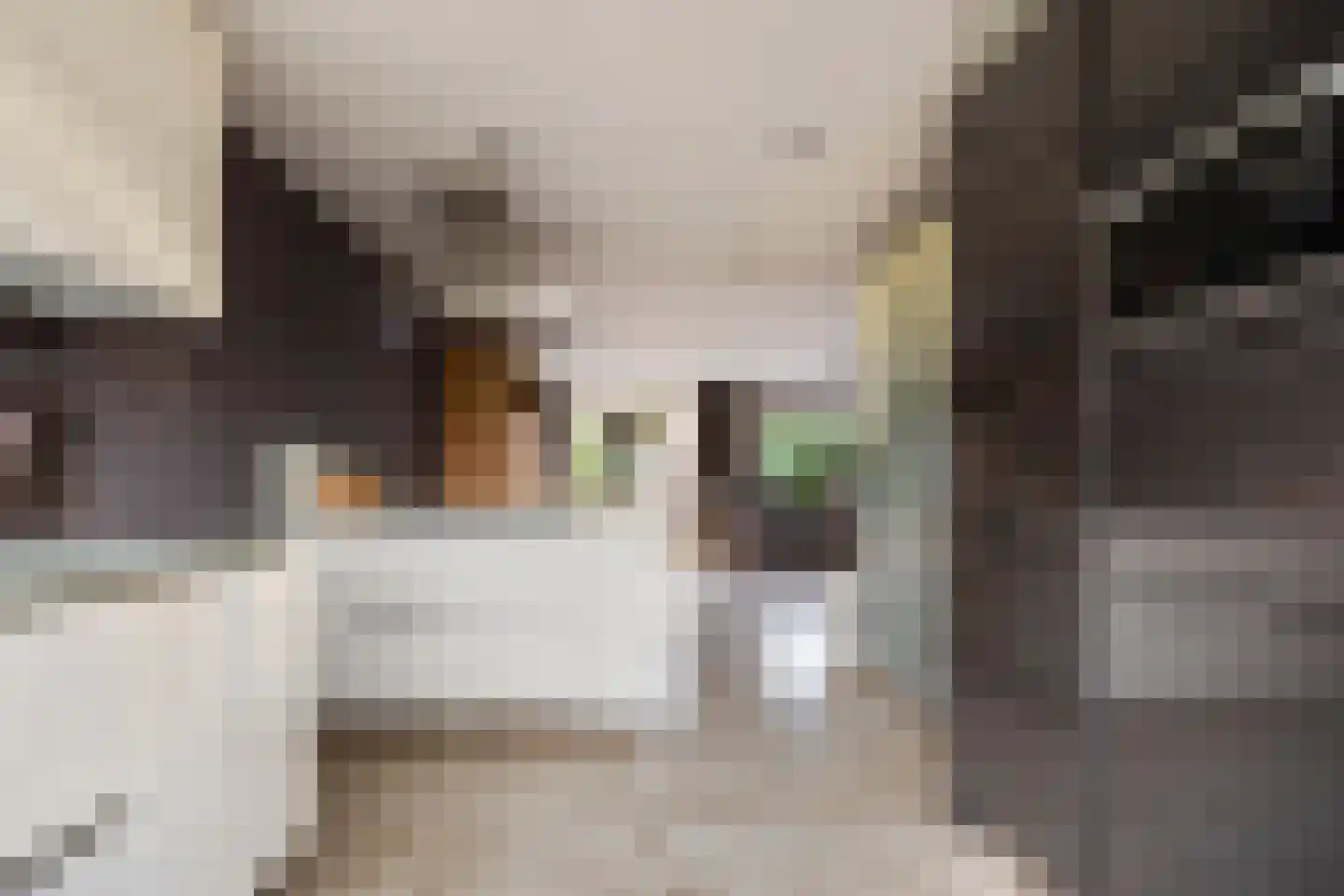 Het Fluitketeltje 27 Gorinchem thumbnail 14