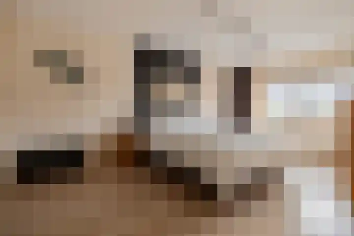 Het Fluitketeltje 27 Gorinchem thumbnail 15