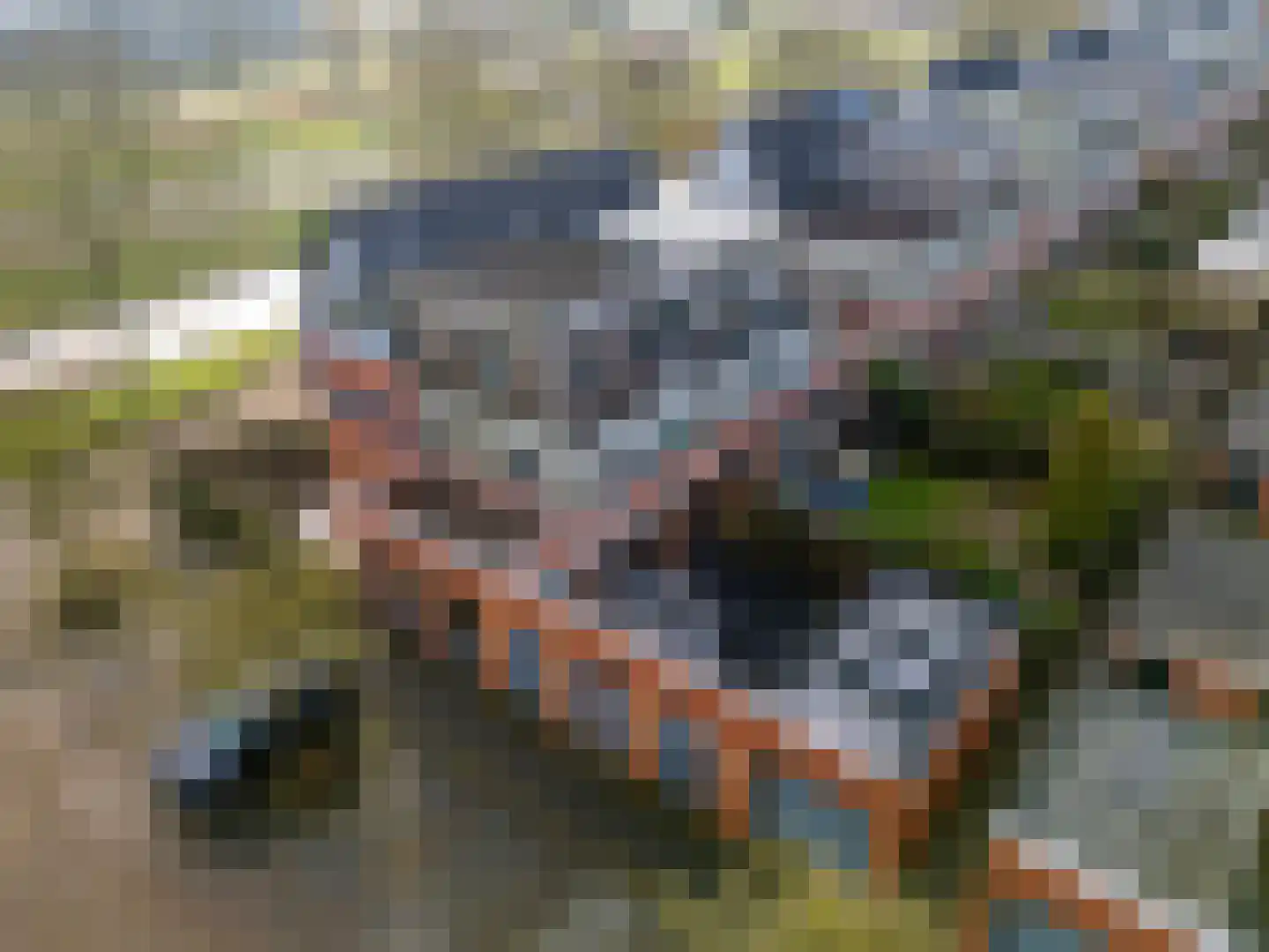 Het Fluitketeltje 27 Gorinchem thumbnail 30