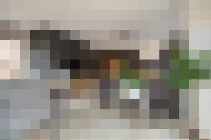 Het Fluitketeltje 27 Gorinchem thumbnail 6