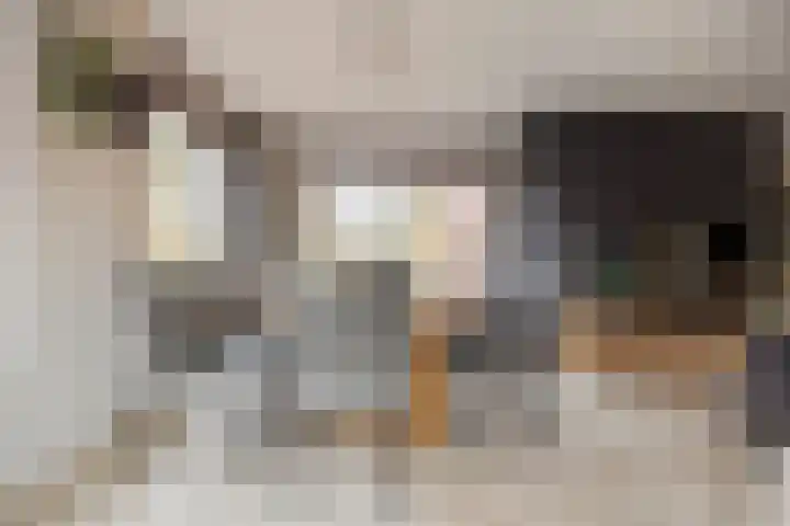 Het Fluitketeltje 27 Gorinchem thumbnail 7
