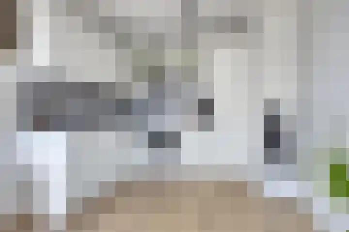 Het Fonteyn 6 Zoeterwoude thumbnail 11