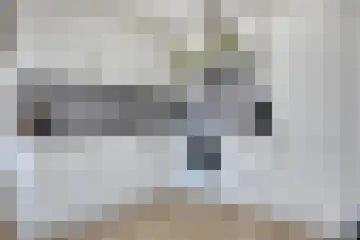 Het Fonteyn 6 Zoeterwoude thumbnail 12