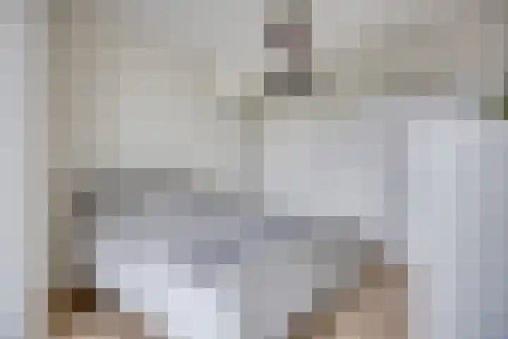 Het Fonteyn 6 Zoeterwoude thumbnail 14