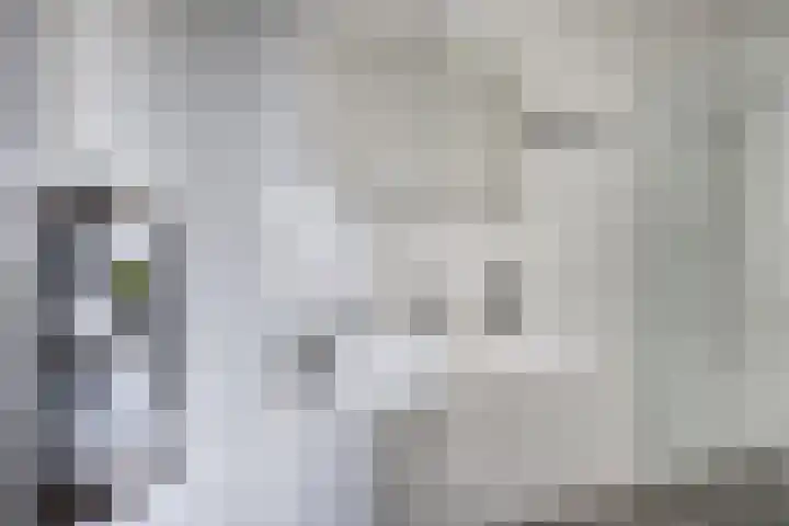 Het Fonteyn 6 Zoeterwoude thumbnail 15