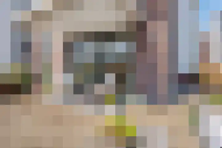 Het Fonteyn 6 Zoeterwoude thumbnail 17