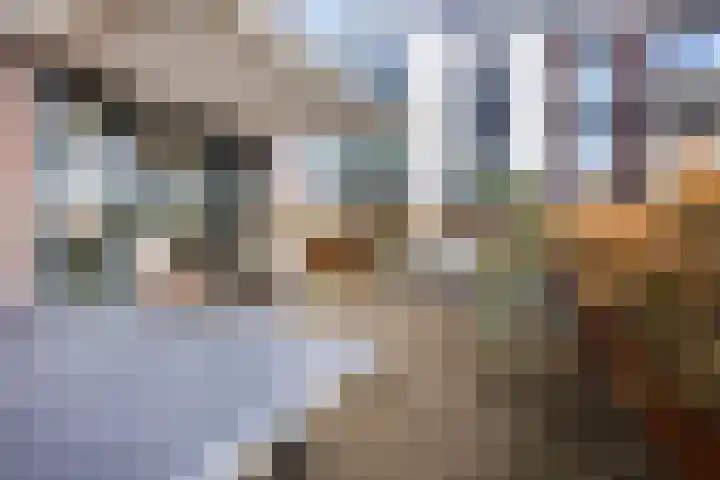 Het Fonteyn 6 Zoeterwoude thumbnail 18
