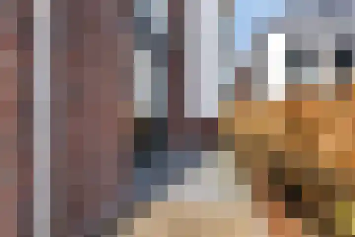 Het Fonteyn 6 Zoeterwoude thumbnail 19