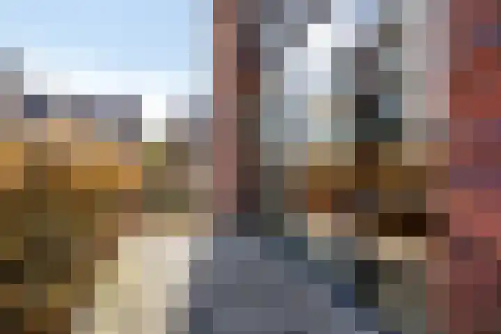 Het Fonteyn 6 Zoeterwoude thumbnail 20