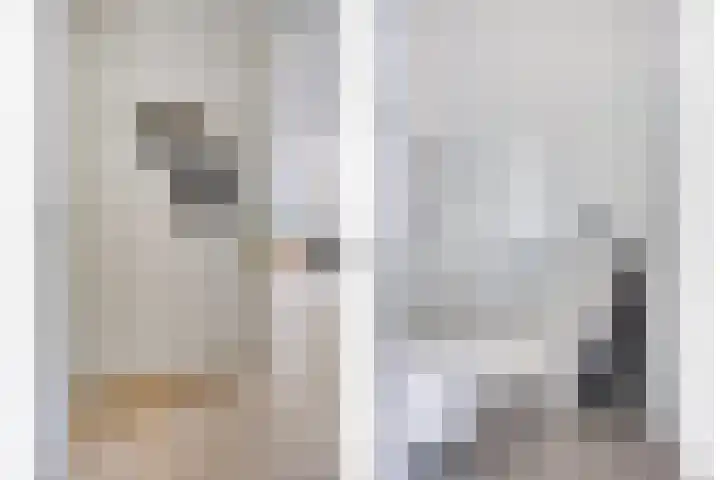 Het Fonteyn 6 Zoeterwoude thumbnail 5