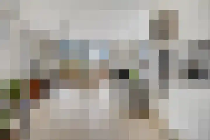 Het Fonteyn 6 Zoeterwoude thumbnail 6