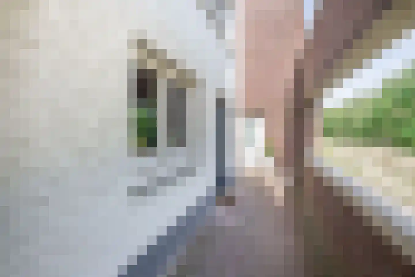 Het Fort 102 Waalwijk thumbnail 6