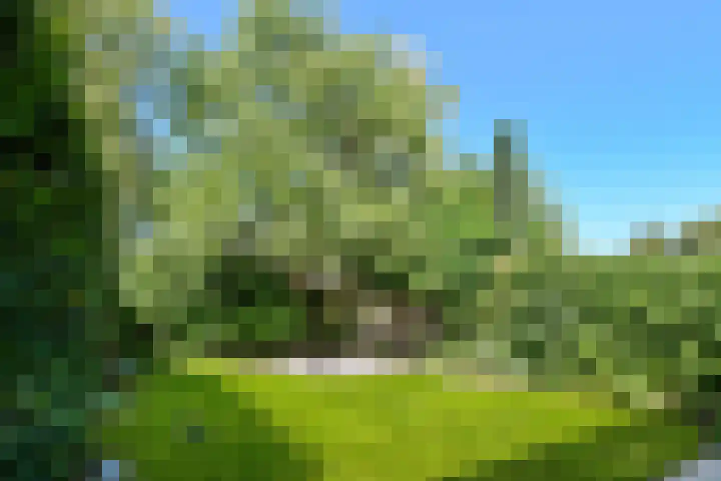 Het Fort 11 Waalre thumbnail 31