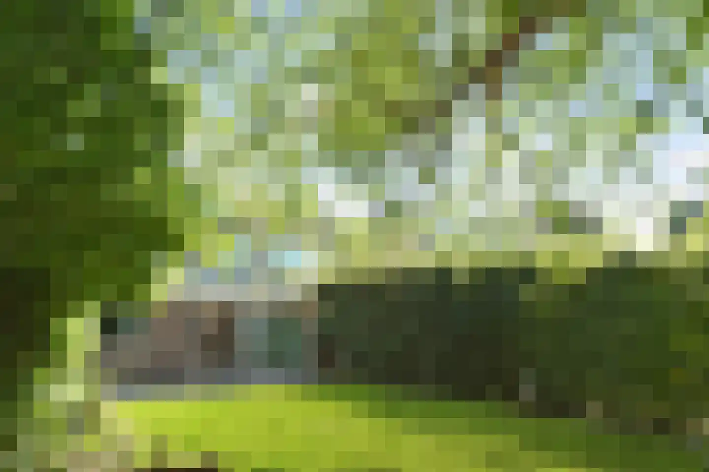 Het Fort 11 Waalre thumbnail 33