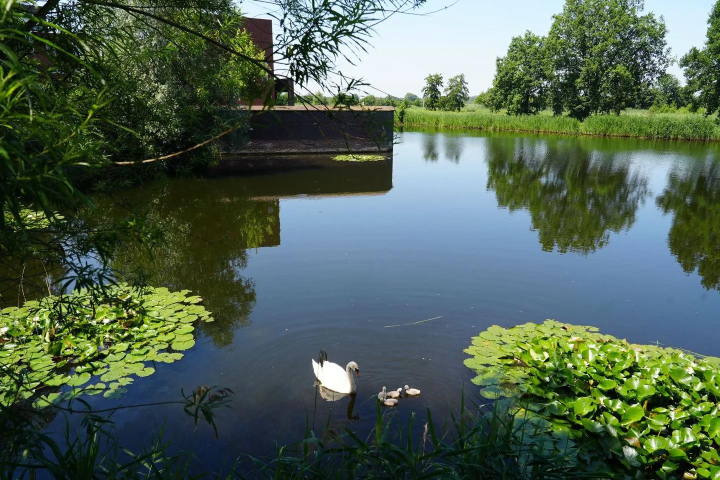 Het Fort 110 Waalwijk thumbnail 42