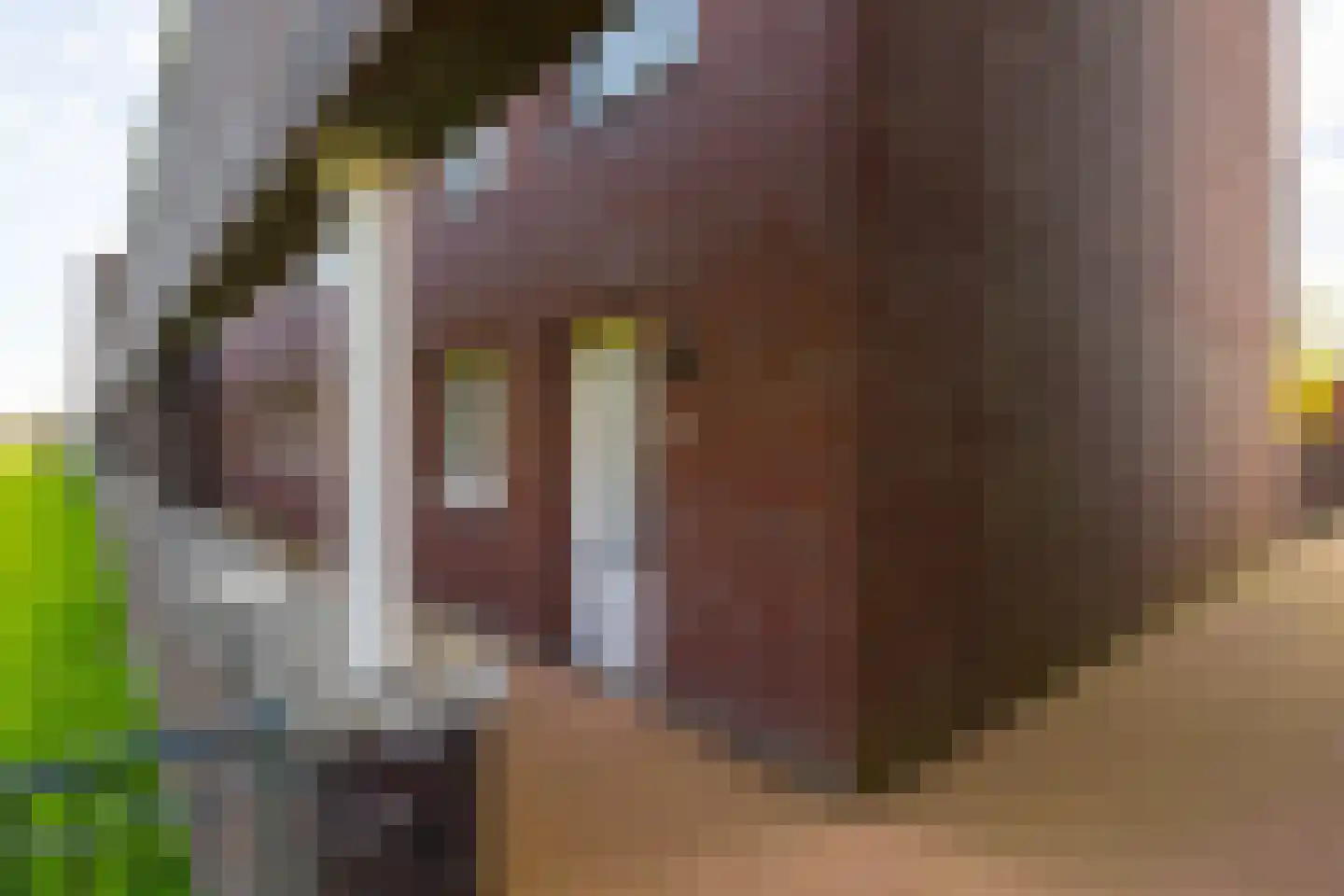 Het Fort 110 Waalwijk thumbnail 6