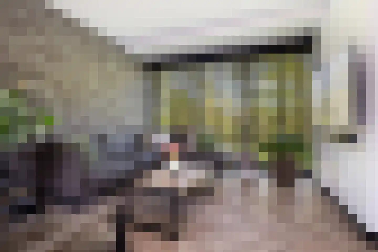Het Fort 113 Waalwijk thumbnail 13