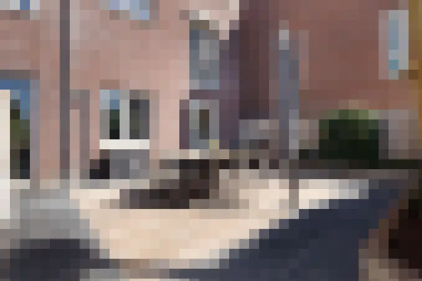 Het Fort 113 Waalwijk thumbnail 23