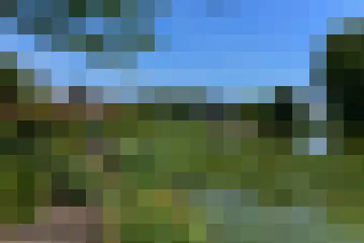 Het Fort 12 De Kwakel thumbnail 35