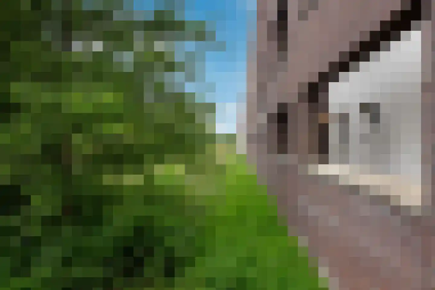Het Fort 120 Waalwijk thumbnail 5