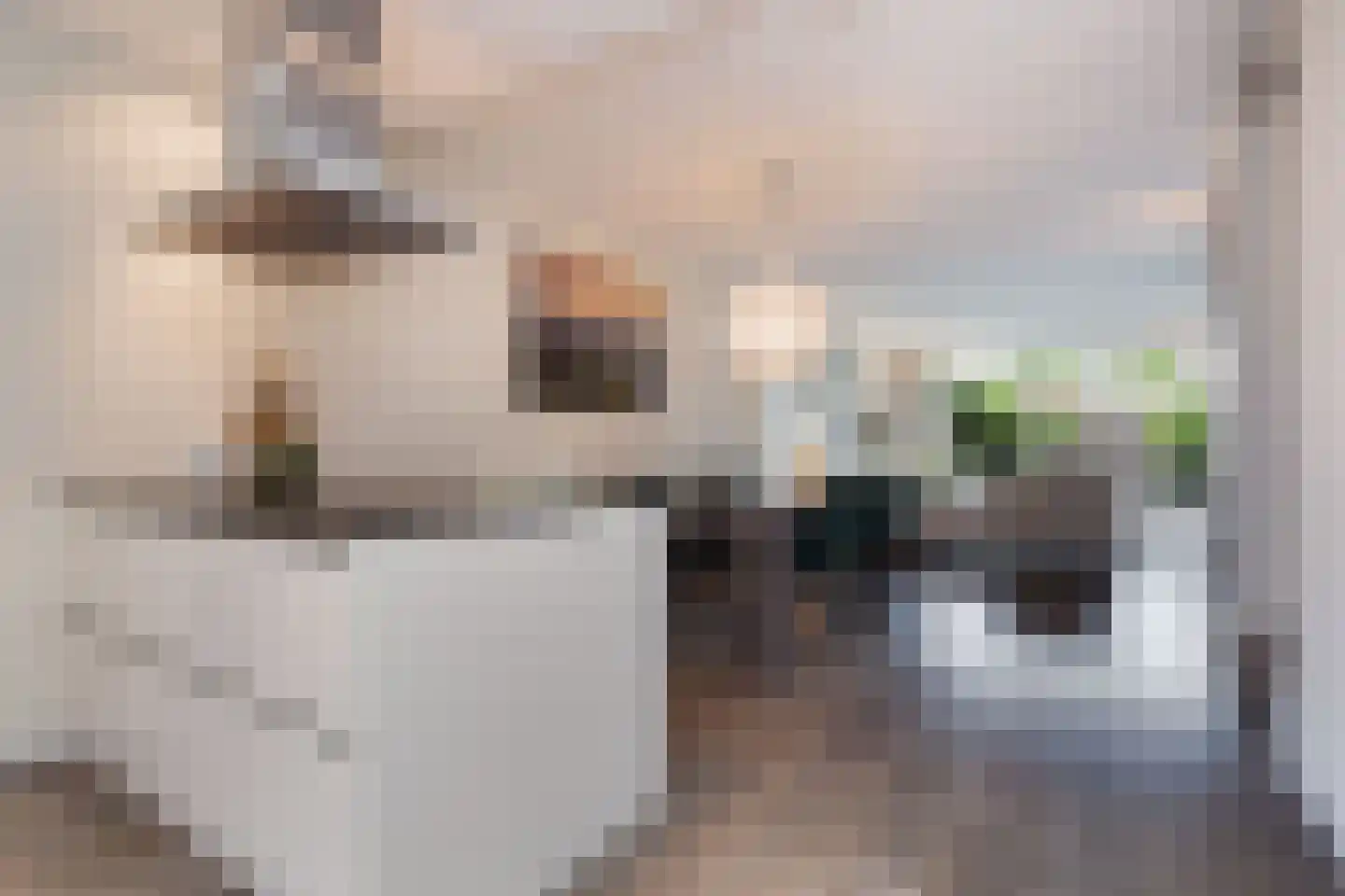 Het Fort 120 Waalwijk thumbnail 9