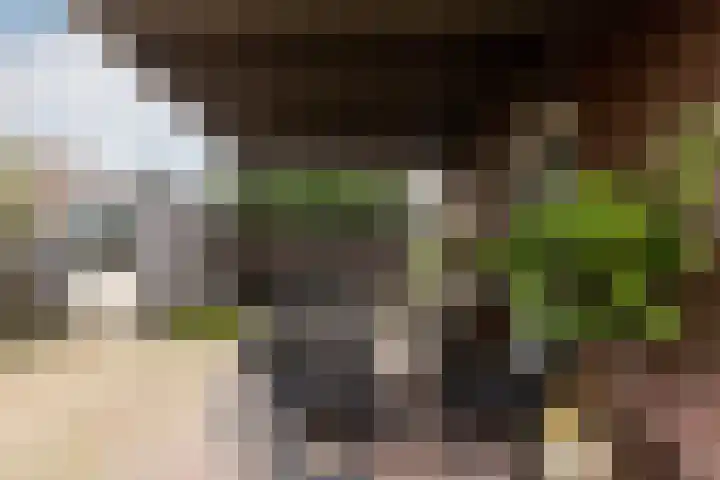 Het Fort 16 Waalwijk thumbnail 35