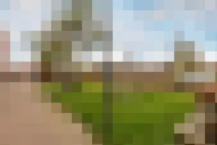 Het Fort 16 Waalwijk thumbnail 44