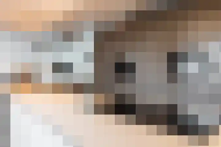 Het Fort 16 Waalwijk thumbnail 8