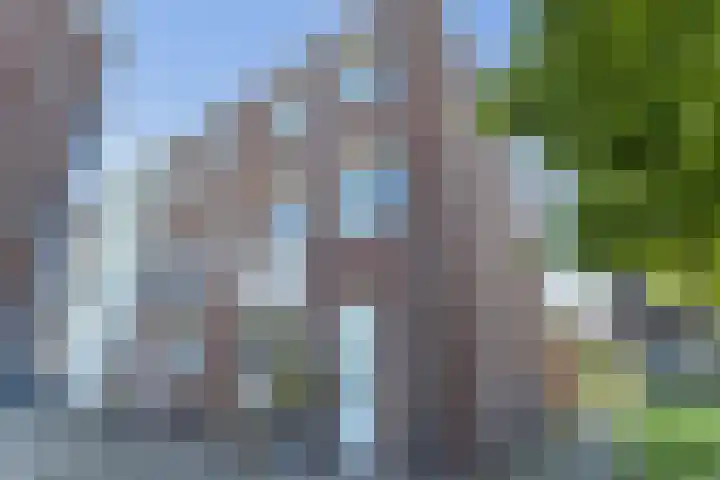 Het Fort 22 Waalwijk thumbnail 13