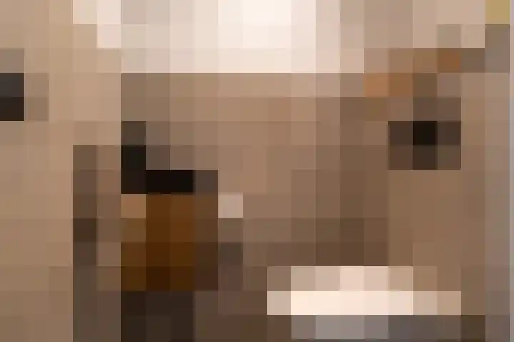 Het Fort 22 Waalwijk thumbnail 15