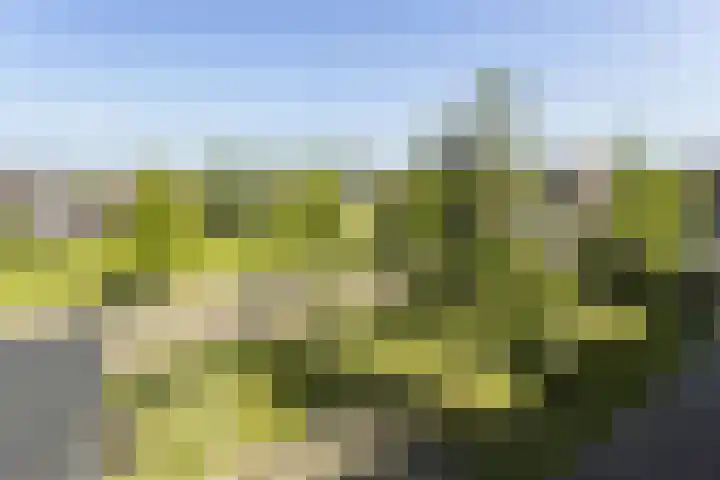 Het Fort 22 Waalwijk thumbnail 35
