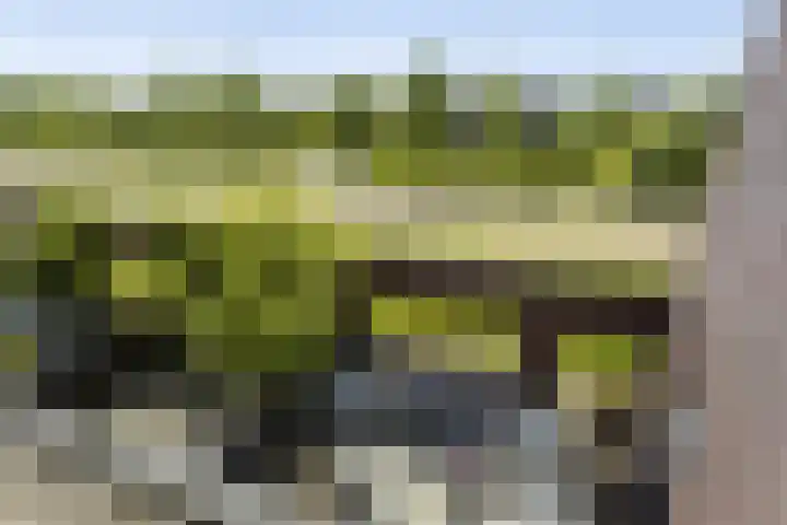 Het Fort 22 Waalwijk thumbnail 36
