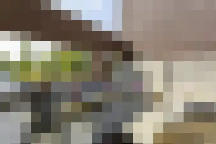 Het Fort 22 Waalwijk thumbnail 6