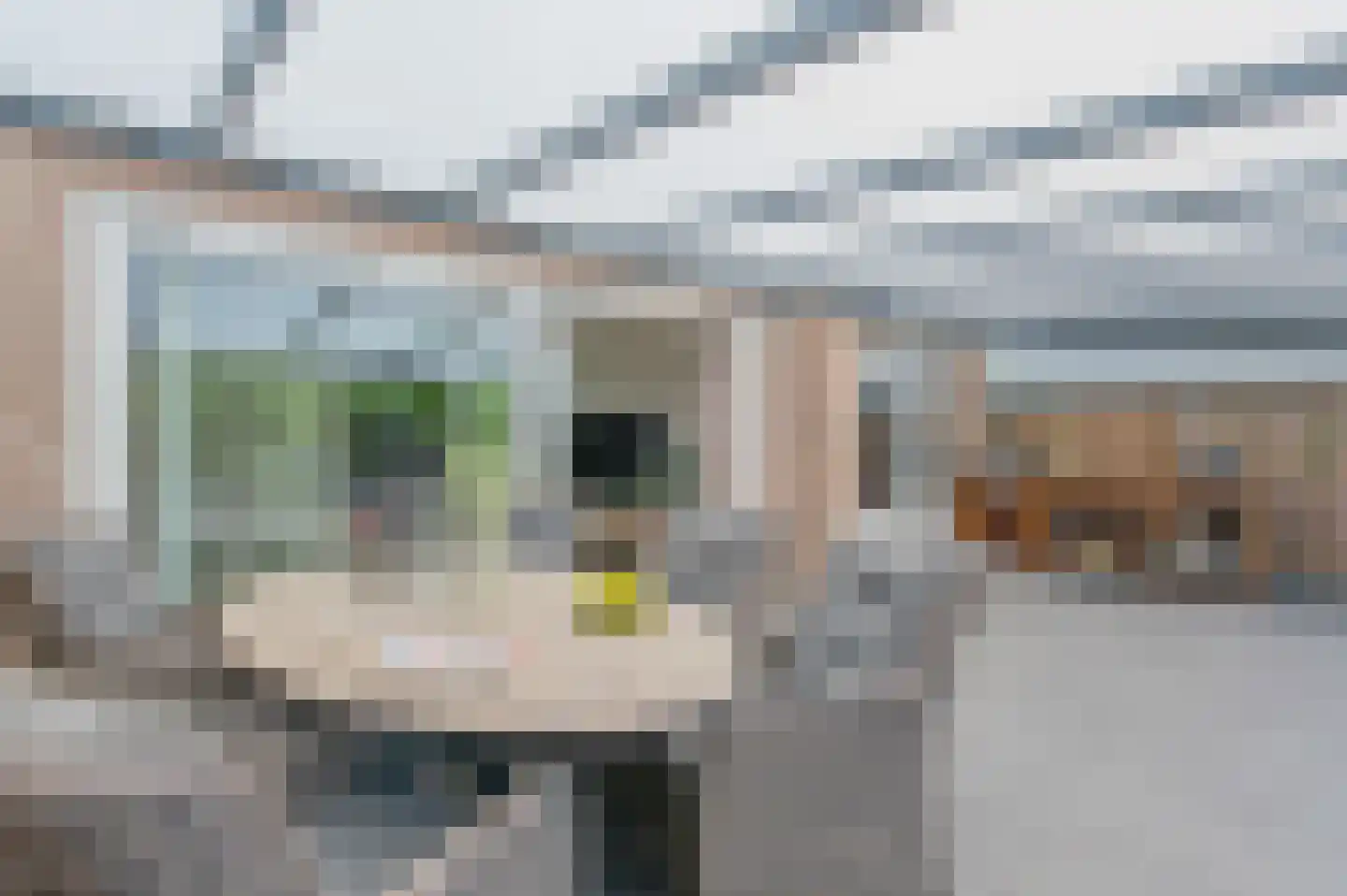Het Fort 25 Waalre thumbnail 24