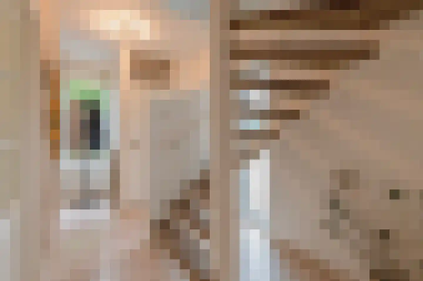 Het Fort 25 Waalre thumbnail 4