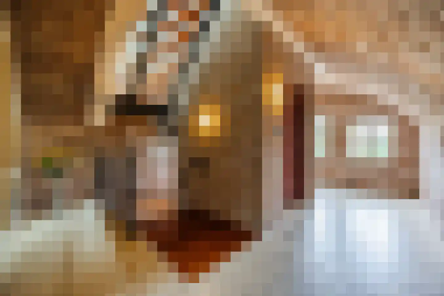 Het Fort 3 Werkendam thumbnail 27