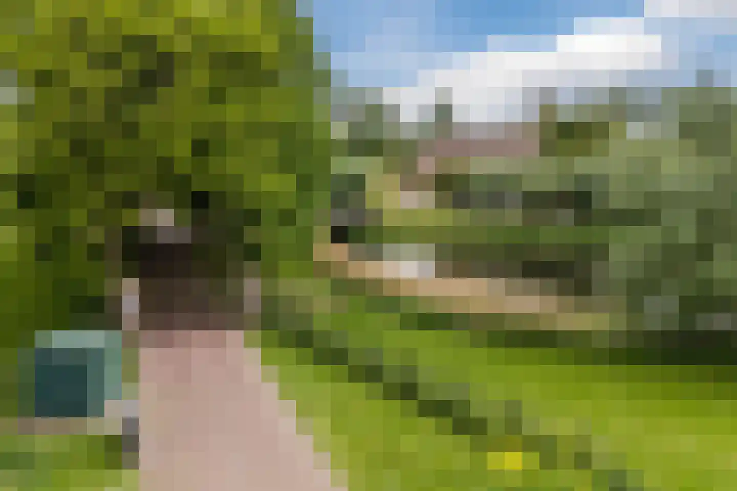 Het Fort 3 Werkendam thumbnail 39