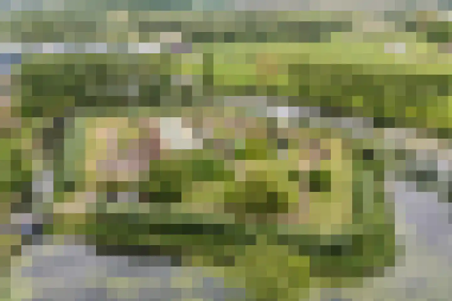 Het Fort 3 Werkendam thumbnail 43