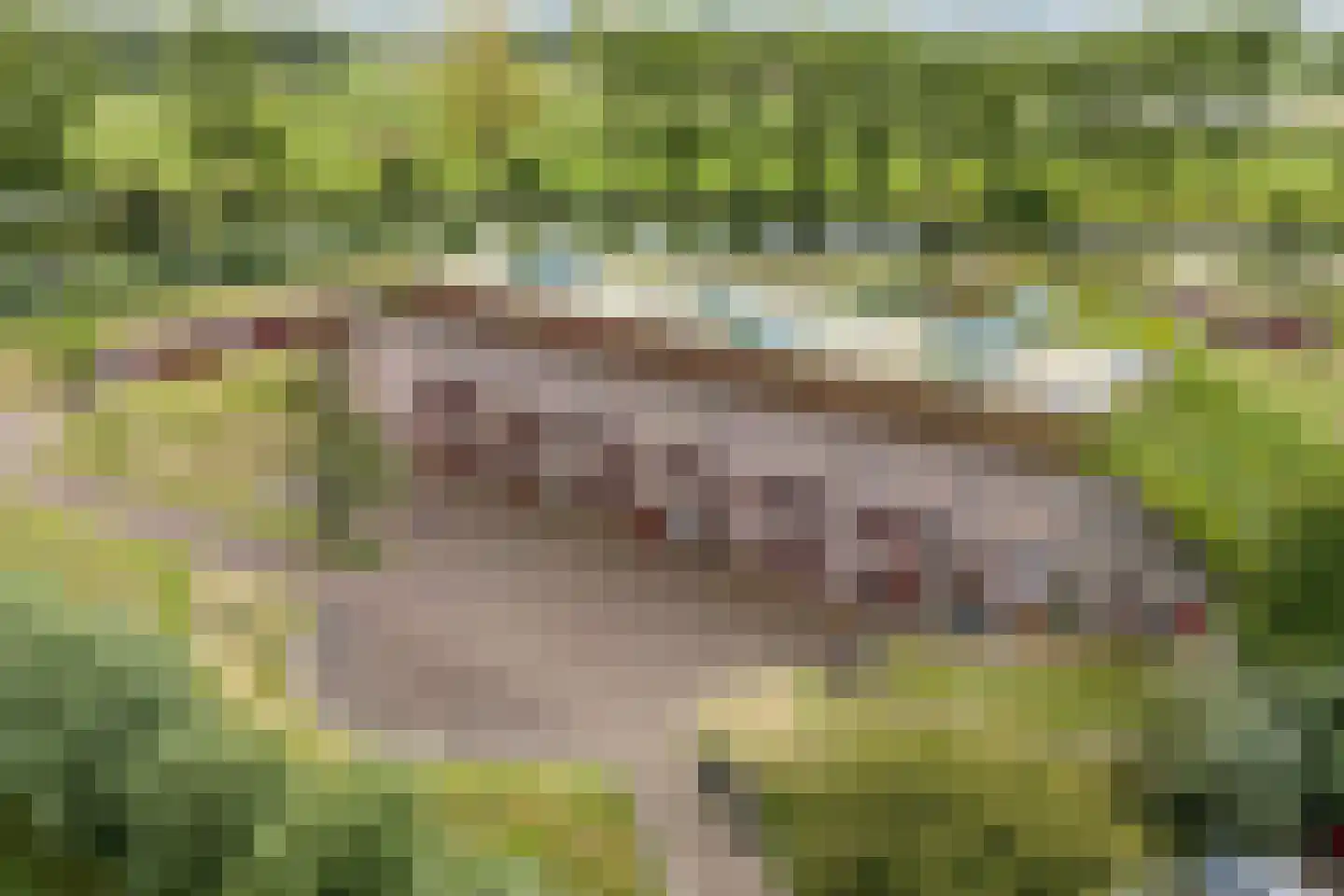 Het Fort 3 Werkendam thumbnail 45