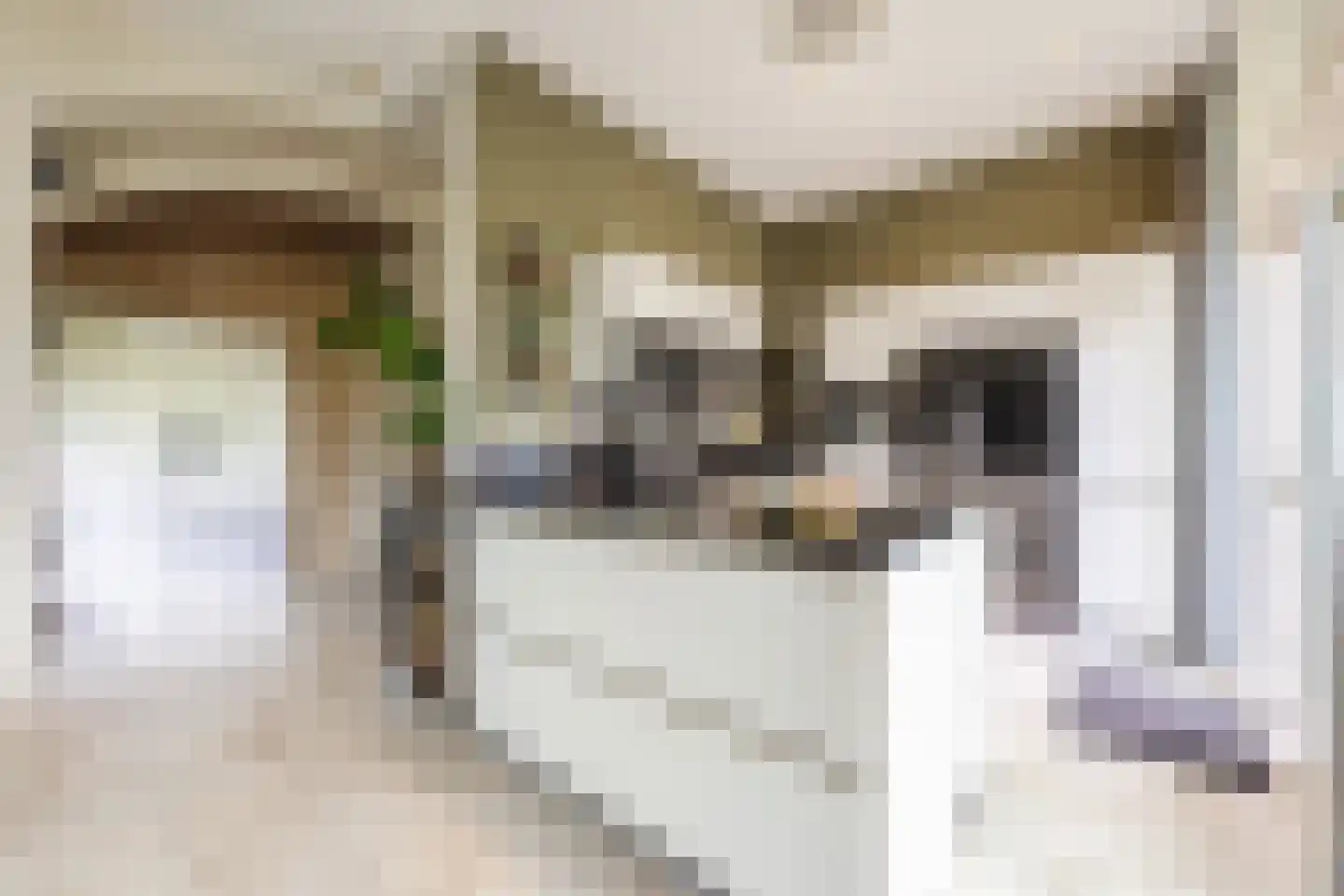 Het Fort 3 Werkendam thumbnail 5