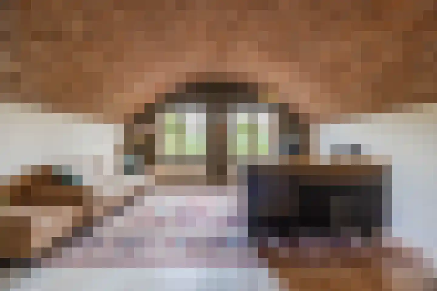 Het Fort 3 Werkendam thumbnail 9