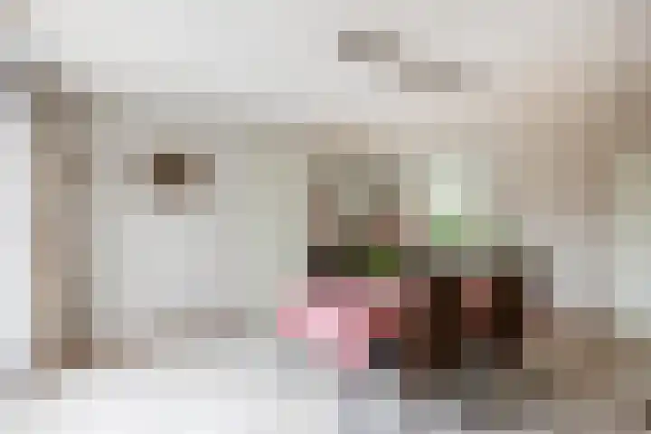 Het Fort 53 Waalre thumbnail 14