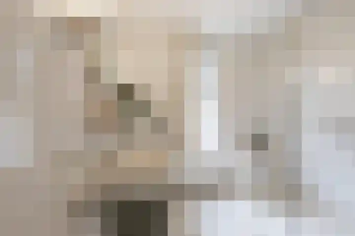 Het Fort 53 Waalre thumbnail 24