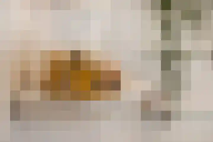 Het Fort 53 Waalre thumbnail 26
