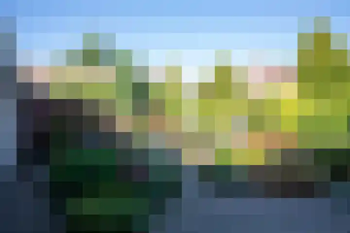 Het Fort 53 Waalre thumbnail 29