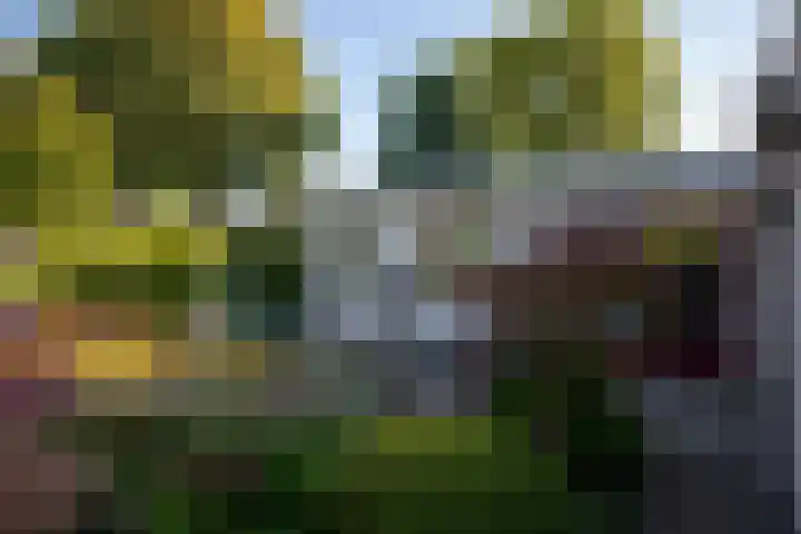 Het Fort 53 Waalre thumbnail 30